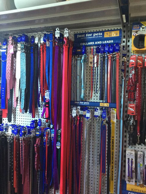 Port Stephens Pet Barn - Events Australia 3