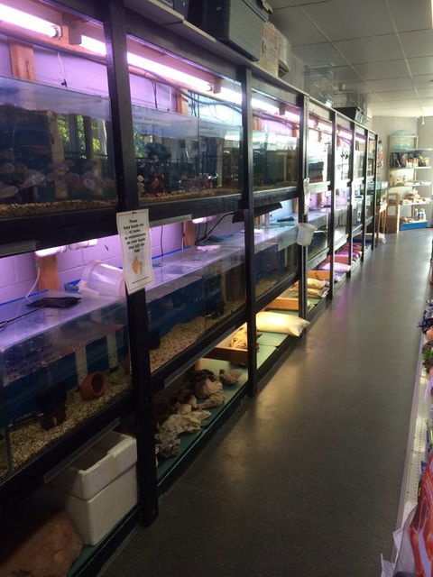 Nambour Pet Shop - Events Australia 1