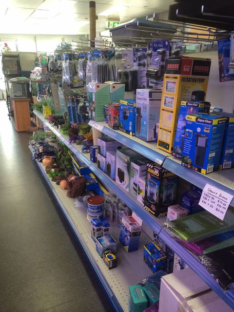 Nambour Pet Shop - Events Australia 2
