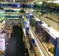 Clearwater Aquariums - Events Australia