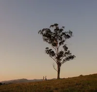 Faulls Ridge Winery - Tourism Bookings