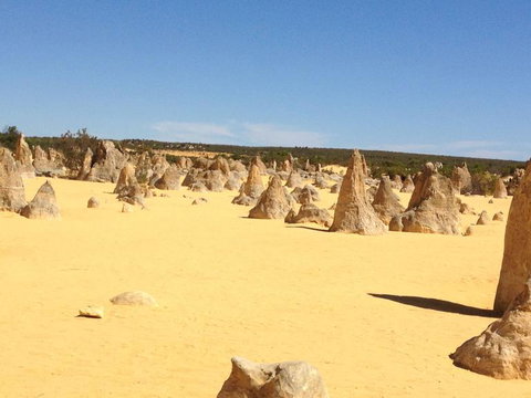 Pinnacles Desert, Koalas And Sandboarding 4WD Day Tour From Perth - Events Australia 15