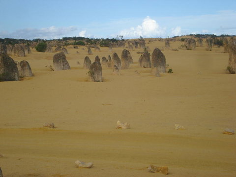 Pinnacles Desert, Koalas And Sandboarding 4WD Day Tour From Perth - Events Australia 23
