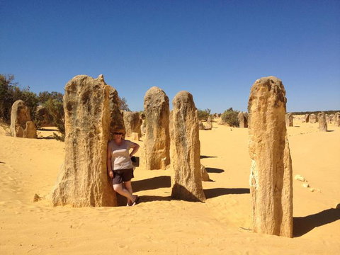 Pinnacles Desert, Koalas And Sandboarding 4WD Day Tour From Perth - Events Australia 17