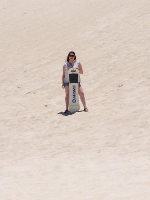 Pinnacles Desert, Koalas And Sandboarding 4WD Day Tour From Perth - Events Australia 21