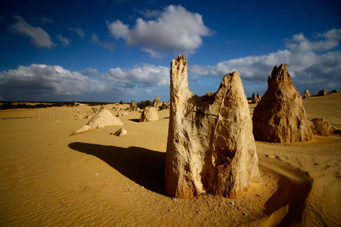 Pinnacles Desert, Koalas And Sandboarding 4WD Day Tour From Perth - Events Australia 6