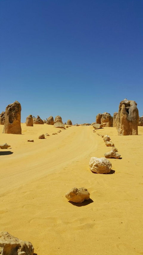 Pinnacles Desert, Koalas And Sandboarding 4WD Day Tour From Perth - Events Australia 3