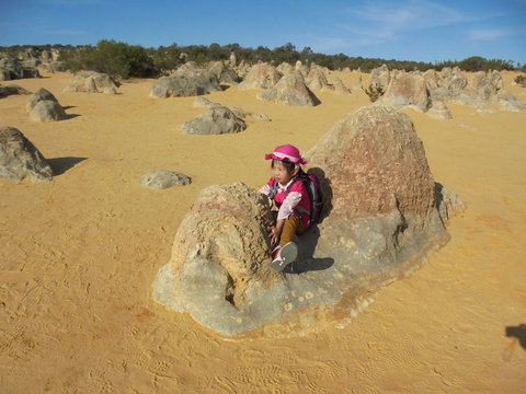 Pinnacles Desert, Koalas And Sandboarding 4WD Day Tour From Perth - Events Australia 7