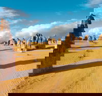 Pinnacles Desert Koalas and Sandboarding 4WD Day Tour from Perth - Events Australia