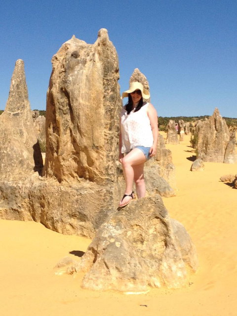 Pinnacles Desert, Koalas And Sandboarding 4WD Day Tour From Perth - Events Australia 16