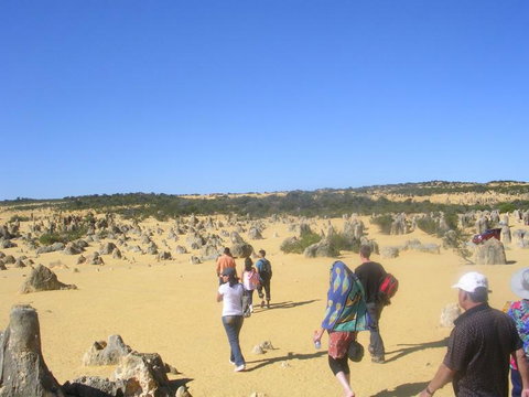 Pinnacles Desert, Koalas And Sandboarding 4WD Day Tour From Perth - Events Australia 25