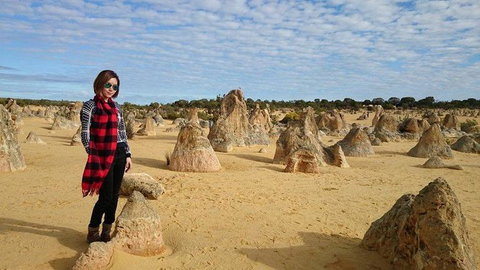Pinnacles Desert, Koalas And Sandboarding 4WD Day Tour From Perth - Events Australia 13