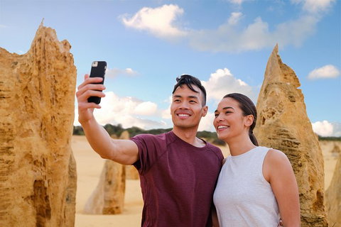 Pinnacles Desert, Koalas And Sandboarding 4WD Day Tour From Perth - Events Australia 1