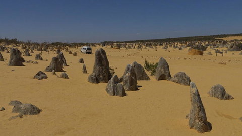 Pinnacles Desert, Koalas And Sandboarding 4WD Day Tour From Perth - Events Australia 4