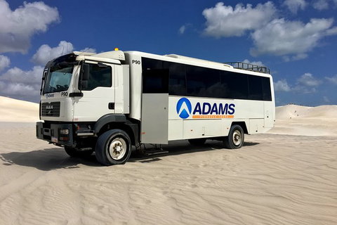 Pinnacles Desert, Koalas And Sandboarding 4WD Day Tour From Perth - Events Australia 28