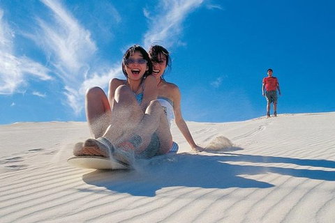 Pinnacles Desert, Koalas And Sandboarding 4WD Day Tour From Perth - Events Australia 30