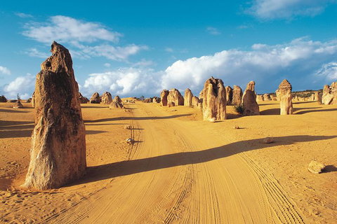 Pinnacles Desert, Koalas And Sandboarding 4WD Day Tour From Perth - Events Australia 26
