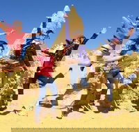 Pinnacles and Swan Valley Day Trip from Perth Including Caversham Wildlife Park Vineyard Lunch Pinnacles and Sandboarding - Events Australia