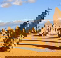 Pinnacles and Yanchep National Park Day Trip from Perth Including Lobster Shack Lunch and Sandboarding - Events Australia