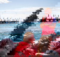 Rottnest Island Tour from Perth or Fremantle including Adventure Speed Boat Ride - Events Australia