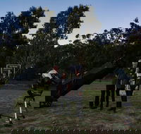 Stargazing Busselton with Mobile Observatory - Events Australia