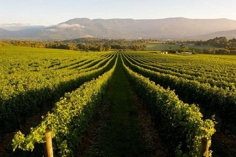 Full-Day Perth, Fremantle, Swan Valley Brewery - Events Australia 1