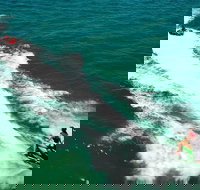 Geraldton Tubing Experience - Events Australia