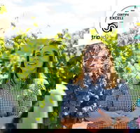 Swan Valley Wine Adventure - Half Day Premium Boutique Winery Tour - Events Australia