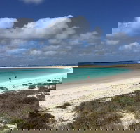 Abrolhos Island Half Day Fly and Flipper - Events Australia