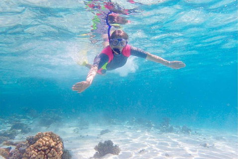 Lagoon Explorer - Ningaloo Reef Full-Day Kayaking And Snorkeling Adventure - Tourism Bookings 1