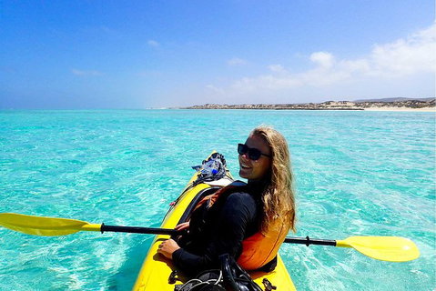 Lagoon Explorer - Ningaloo Reef Full-Day Kayaking And Snorkeling Adventure - Tourism Bookings 0