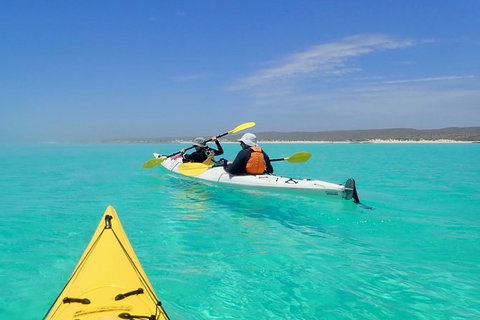 Lagoon Explorer - Ningaloo Reef Full-Day Kayaking And Snorkeling Adventure - Tourism Bookings 7