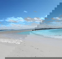 Shipwreck Special Nature Tour/Half Day Tour - Events Australia