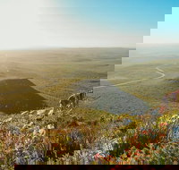 6 Day Esperance Margaret River and Albany Tour - Events Australia