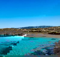 Rottnest Island Roundtrip Fast Ferry from Hillarys Boat Harbour - Events Australia