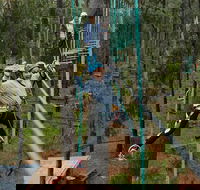 Busselton High Ropes and Zipline Adventure - Events Australia