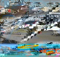 6-Metre Boat Renat Explore Exmouth's Ningaloo Reef - Events Australia