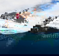 VIP luxury chartered escapes exploring the reef at your own pace - Events Australia