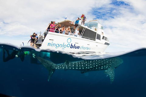VIP Luxury Chartered Escapes, Exploring The Reef At Your Own Pace - Events Australia 0