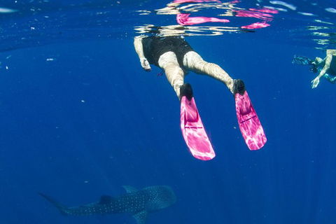 VIP Luxury Chartered Escapes, Exploring The Reef At Your Own Pace - Events Australia 49