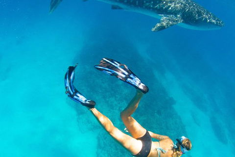 VIP Luxury Chartered Escapes, Exploring The Reef At Your Own Pace - Events Australia 26