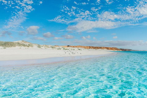 VIP Luxury Chartered Escapes, Exploring The Reef At Your Own Pace - Events Australia 36