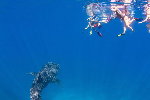 VIP Luxury Chartered Escapes, Exploring The Reef At Your Own Pace - Events Australia 22