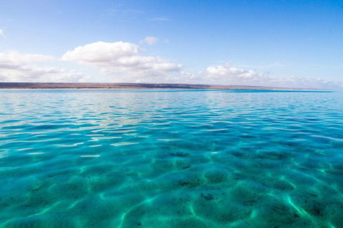 VIP Luxury Chartered Escapes, Exploring The Reef At Your Own Pace - Events Australia 32