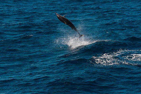 VIP Luxury Chartered Escapes, Exploring The Reef At Your Own Pace - Events Australia 42