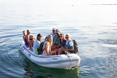 VIP Luxury Chartered Escapes, Exploring The Reef At Your Own Pace - Events Australia 43