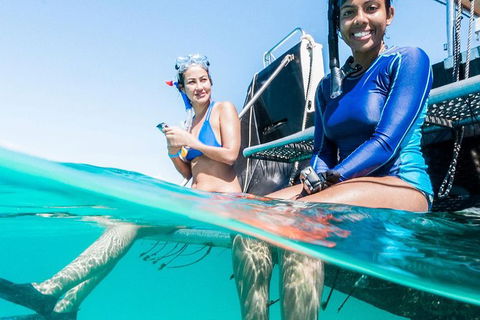 VIP Luxury Chartered Escapes, Exploring The Reef At Your Own Pace - Events Australia 24