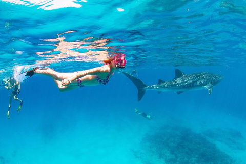 VIP Luxury Chartered Escapes, Exploring The Reef At Your Own Pace - Events Australia 35