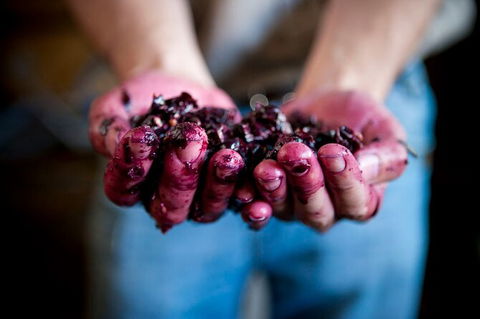 Cape Mentelle Behind The Scenes Tour - Events Australia 7