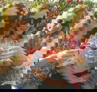 Half Day Swan Valley Wine Tour - Events Australia